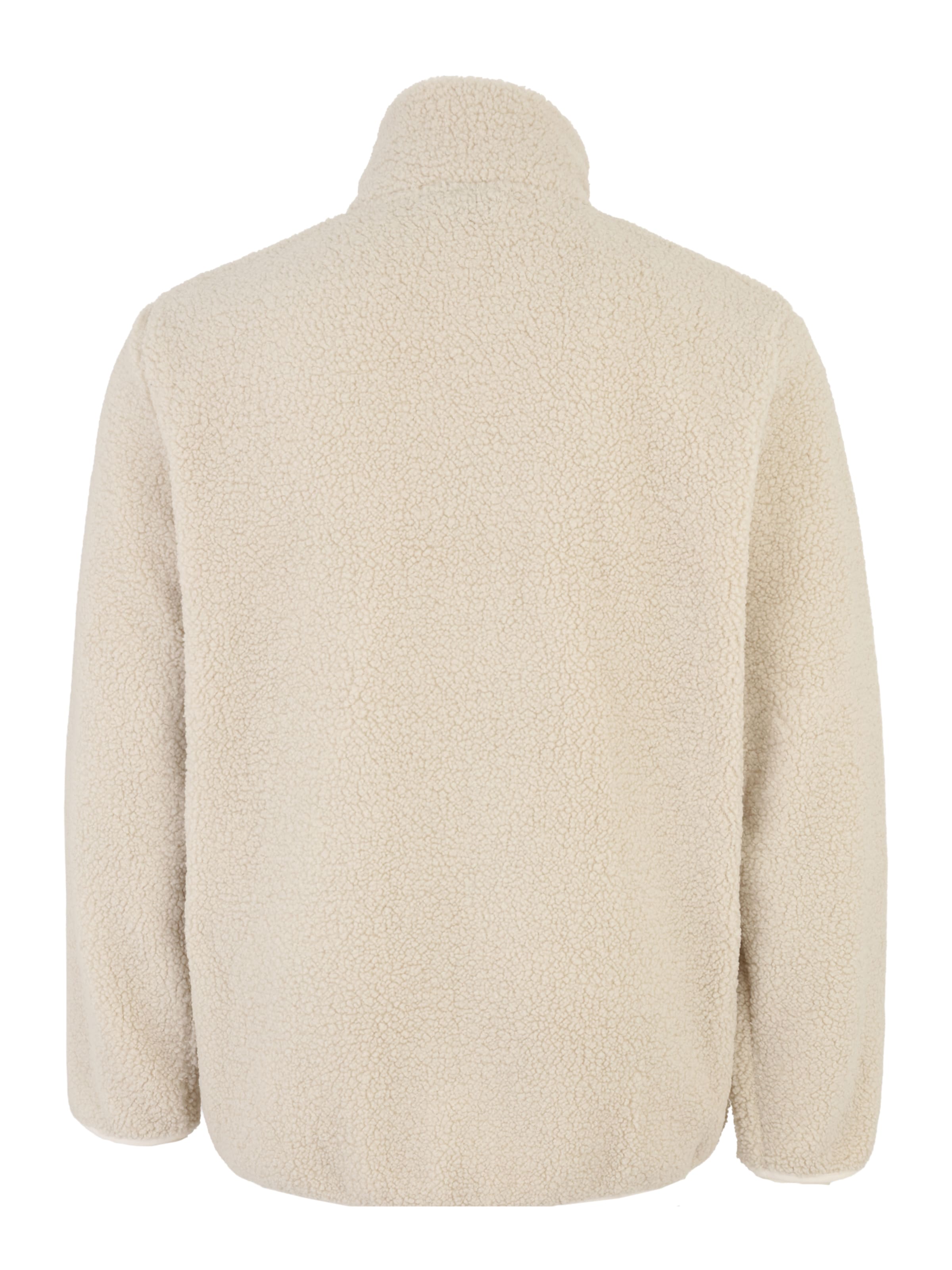 ICEPEAK Функциональная флисовая куртка 'PUEBLO' в Бежевый