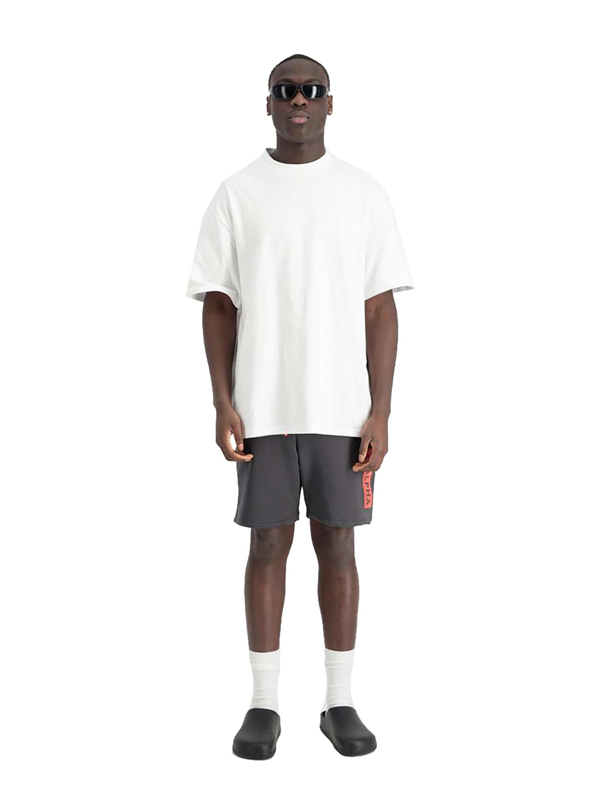 ALPHA INDUSTRIES Regular Pants 'Alpha PP' in Grey