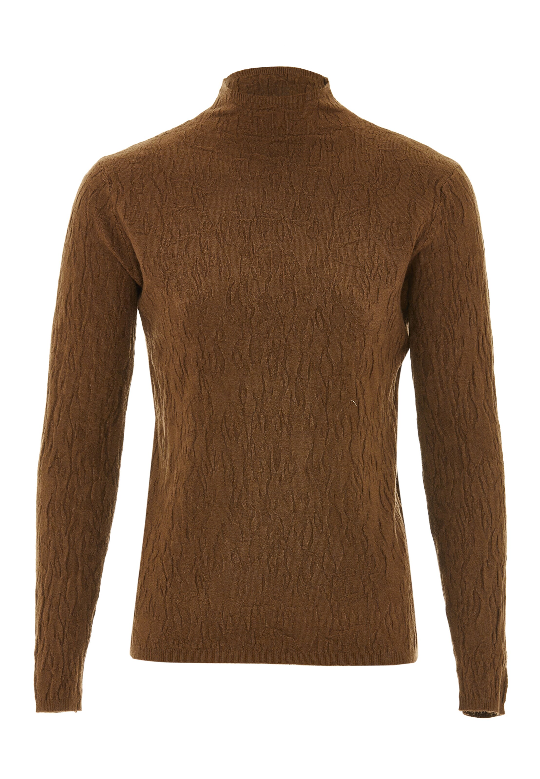 SANIKA Pullover in Braun: Vorderseite