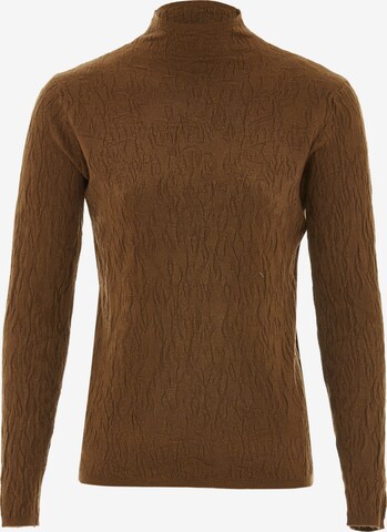 SANIKA Sweater in Brown: front