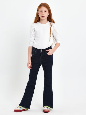 LTB Baggy Jeans in Blue: front