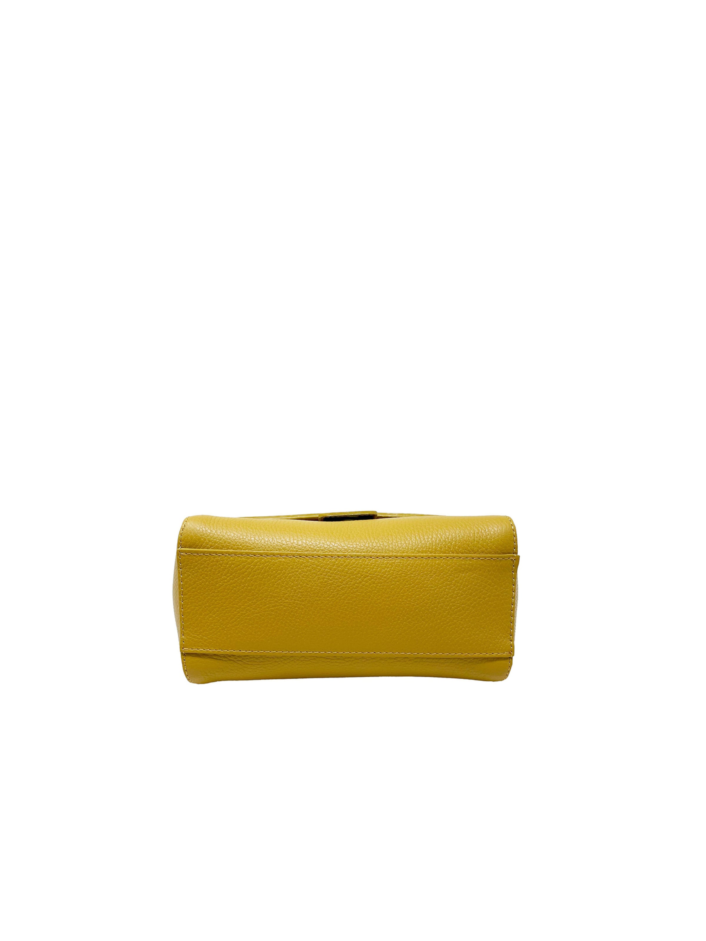 CHICCA BORSE Handbag in Yellow