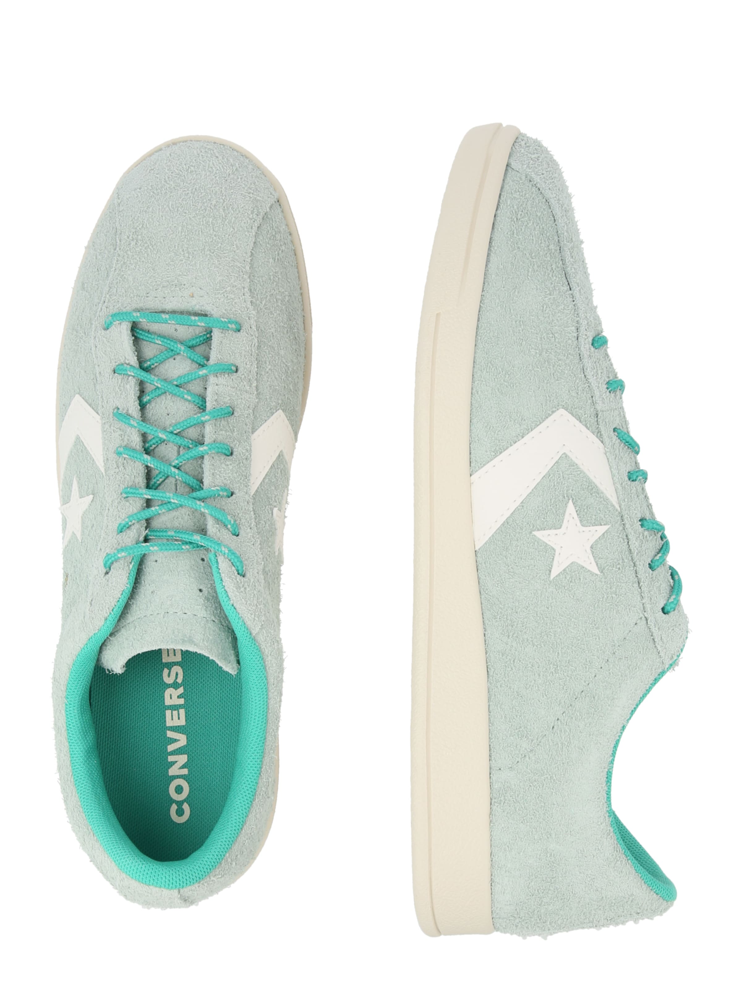 CONVERSE Низкие кроссовки 'ALL STAR CLASSIC' в Зеленый