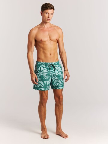 PROTEST Zwemshorts 'PRTPanther' in Blauw