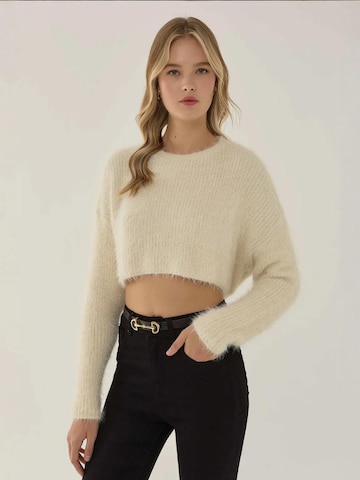 Hiccup Pullover in Beige: Vorderseite