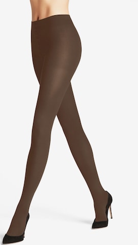 FALKE Tights 'Family' in Brown: front