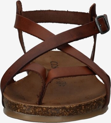 COSMOS COMFORT Strap Sandals in Brown