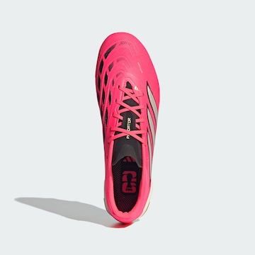 Chaussure de foot 'Predator League' ADIDAS PERFORMANCE en rose