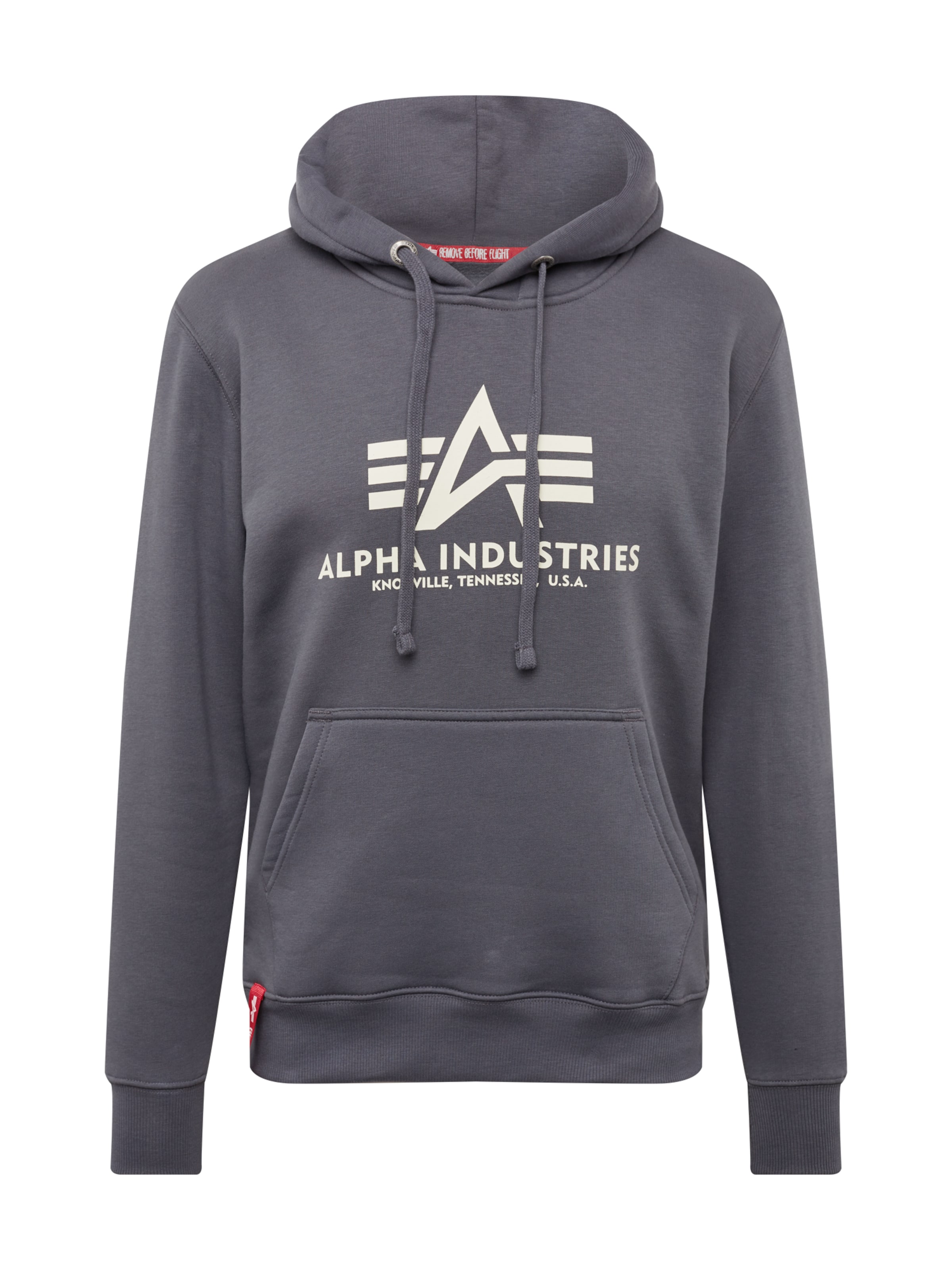 ALPHA INDUSTRIES Bluzka sportowa w kolorze szary: przód