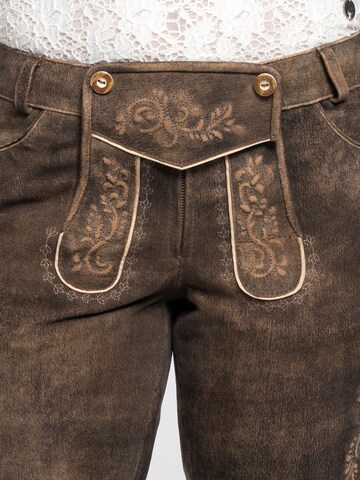 SPIETH & WENSKY Regular Traditional pants in Brown