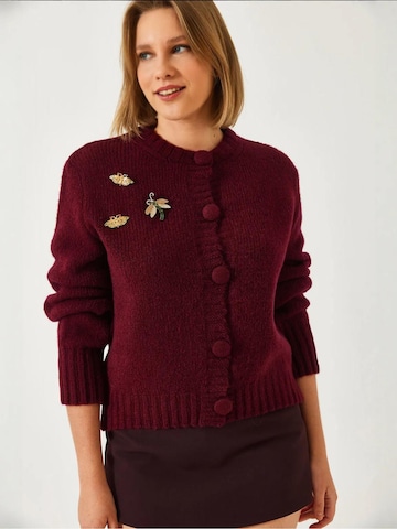 Bianco Lucci Strickjacke 'Strickjacken'‌‌‌‌‌‌ in Rot: Vorderseite
