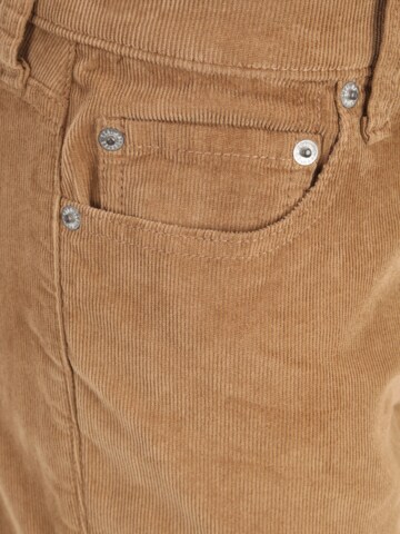 regular Pantaloni di HOLLISTER in marrone