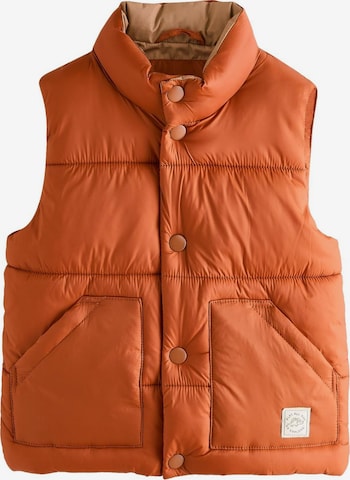 Gilet Next en marron : devant