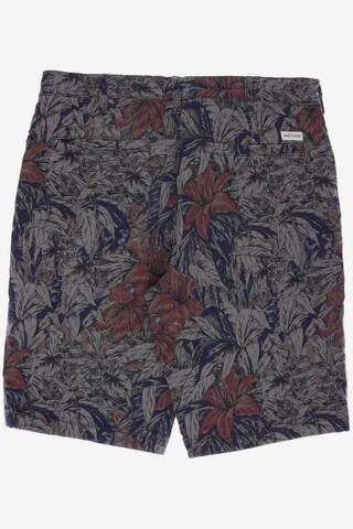 INDICODE JEANS Shorts in 33 in Grey