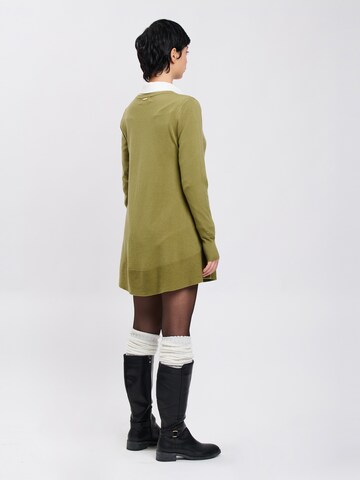 Influencer - Jersey en verde