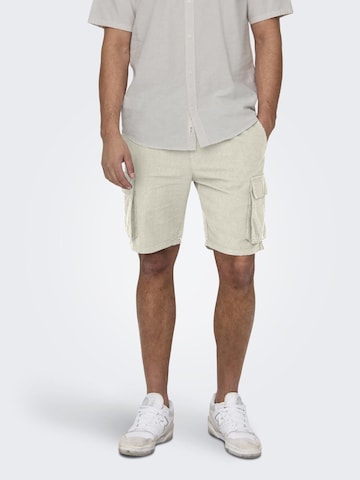 Only & Sons Regular Shorts 'Sinus' in Grau: predná strana