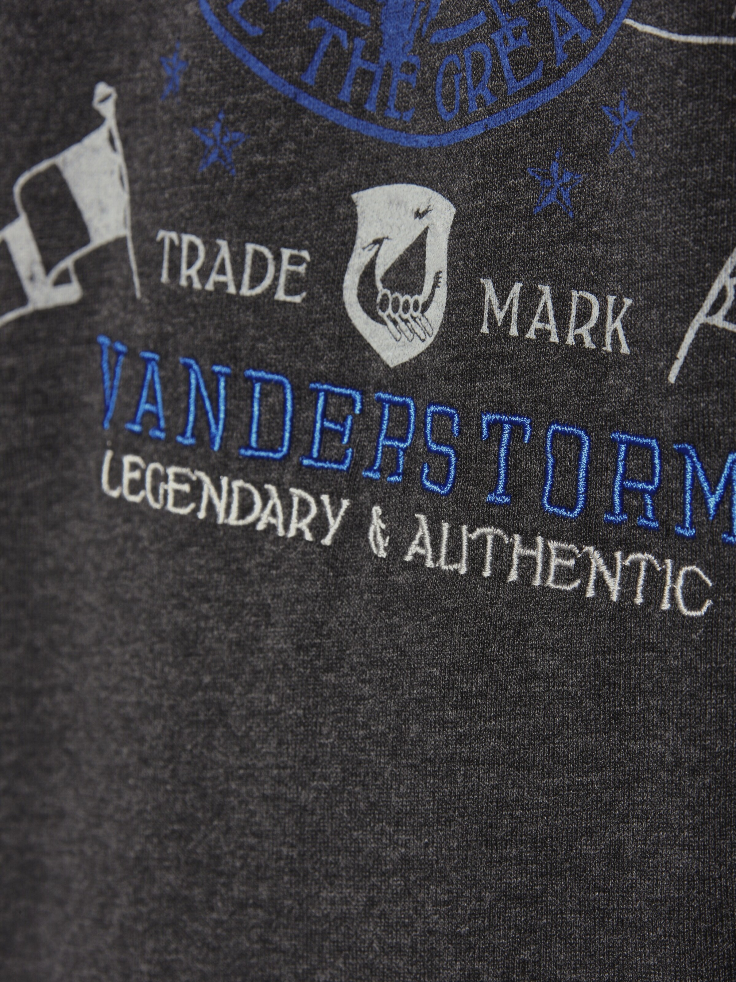 Jan Vanderstorm Shirt 'Staaf' in Grey