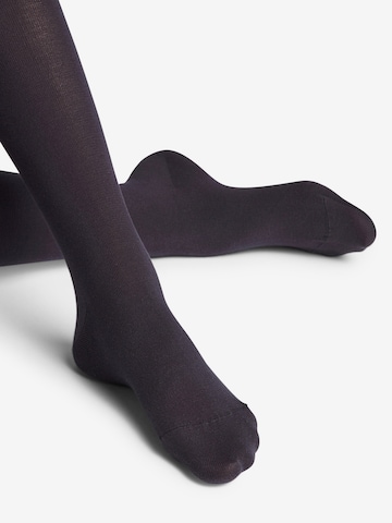 FALKE - Collants em azul