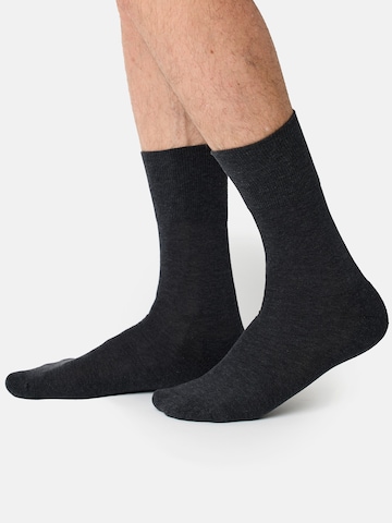 Nur Der Socks 'Aktiv' in Grey