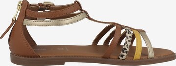 GEOX Sandals 'Karly' in Brown