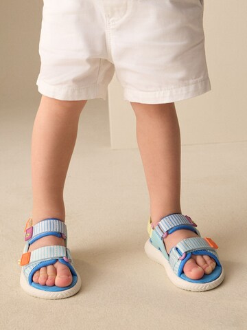 Calzatura aperta 'Utility' di Next in blu