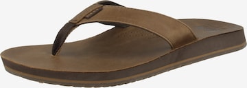 REEF Beach & Pool Shoes 'Drift' in Brown: front