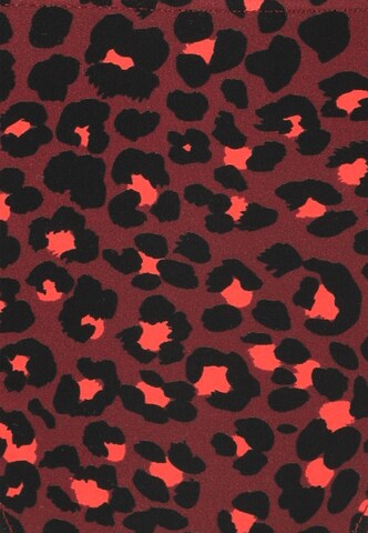 Cruz Bikinibroek 'Aprilia' in Rood
