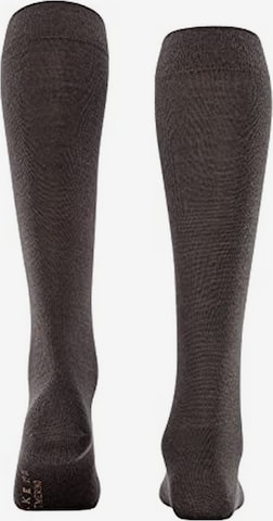 FALKE Knee High Socks in Brown