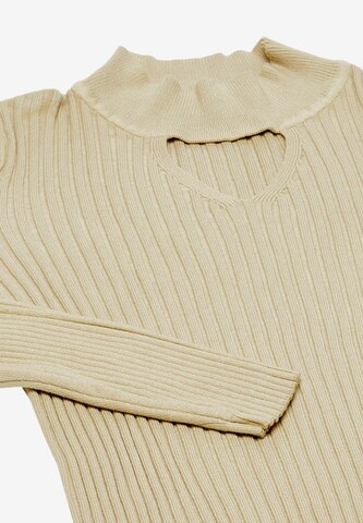 NAEMI Sweater in Beige