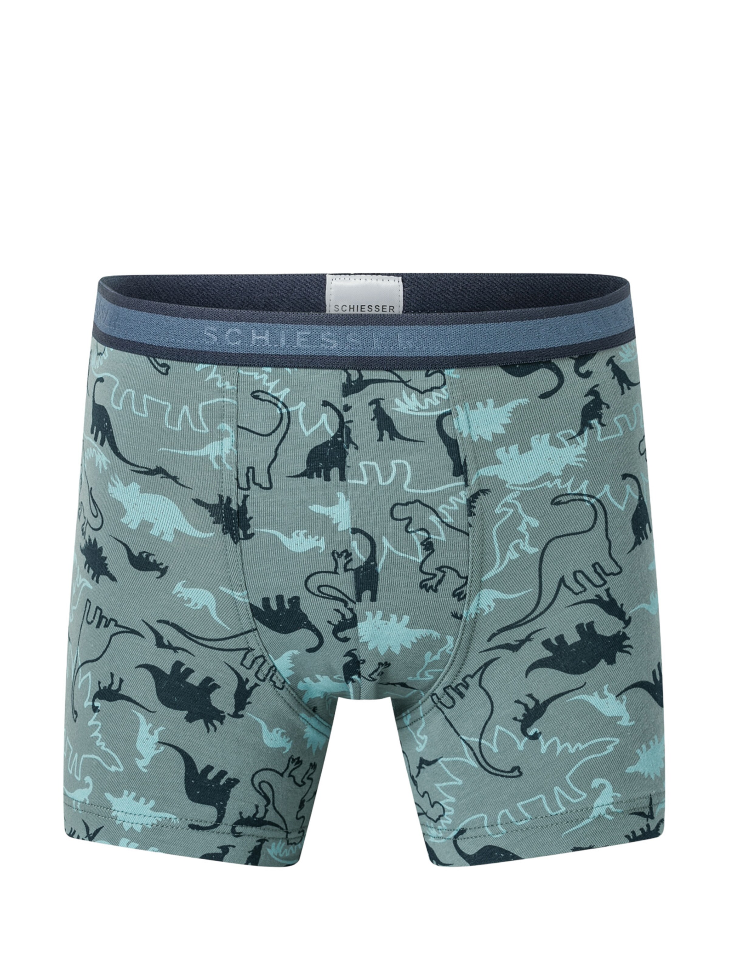 SCHIESSER Underpants in Green