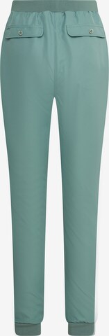 Tapered Pantaloni 'Daykeeper' di 4funkyflavours in verde