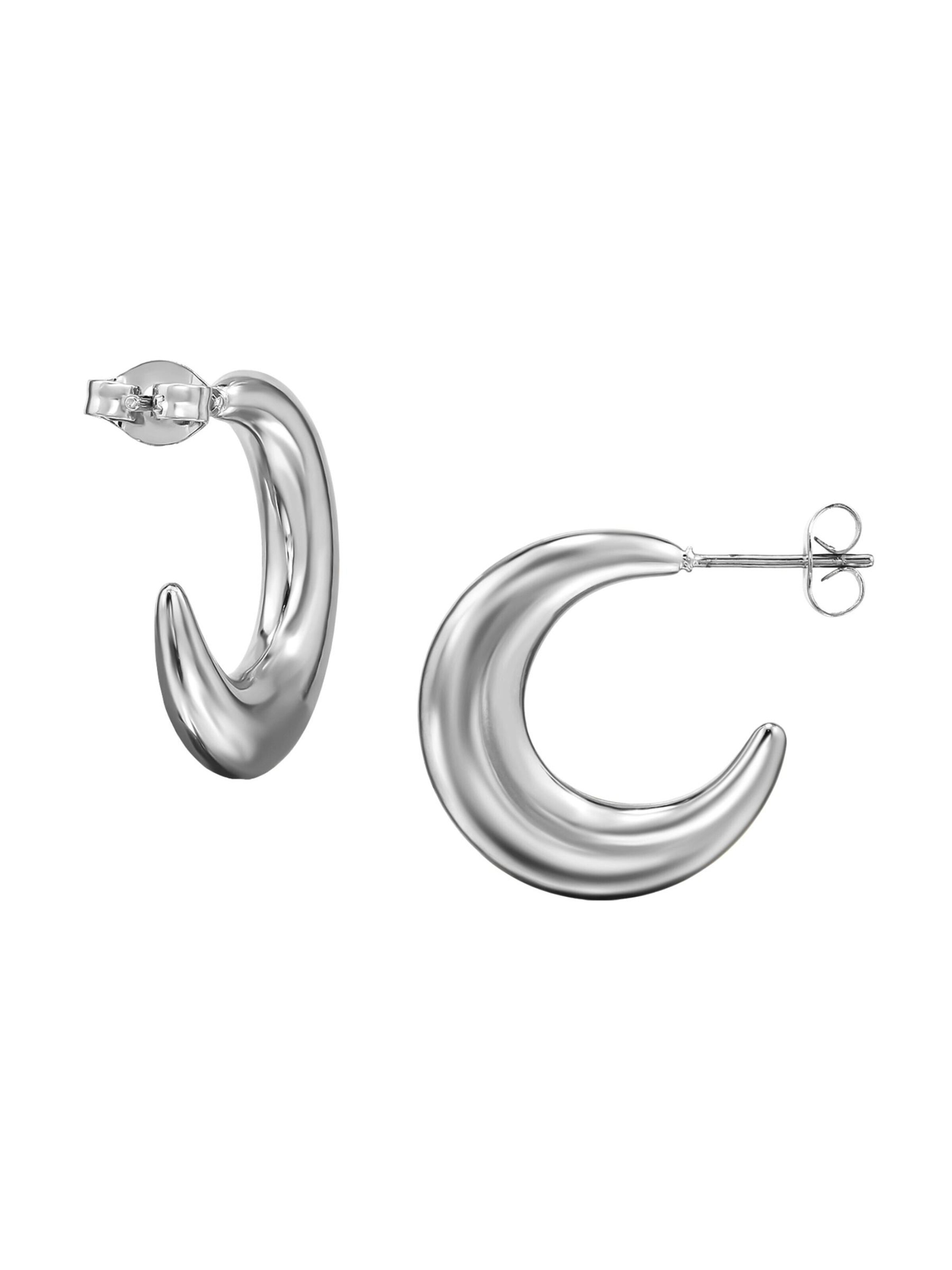 Maxte Earrings in Silver