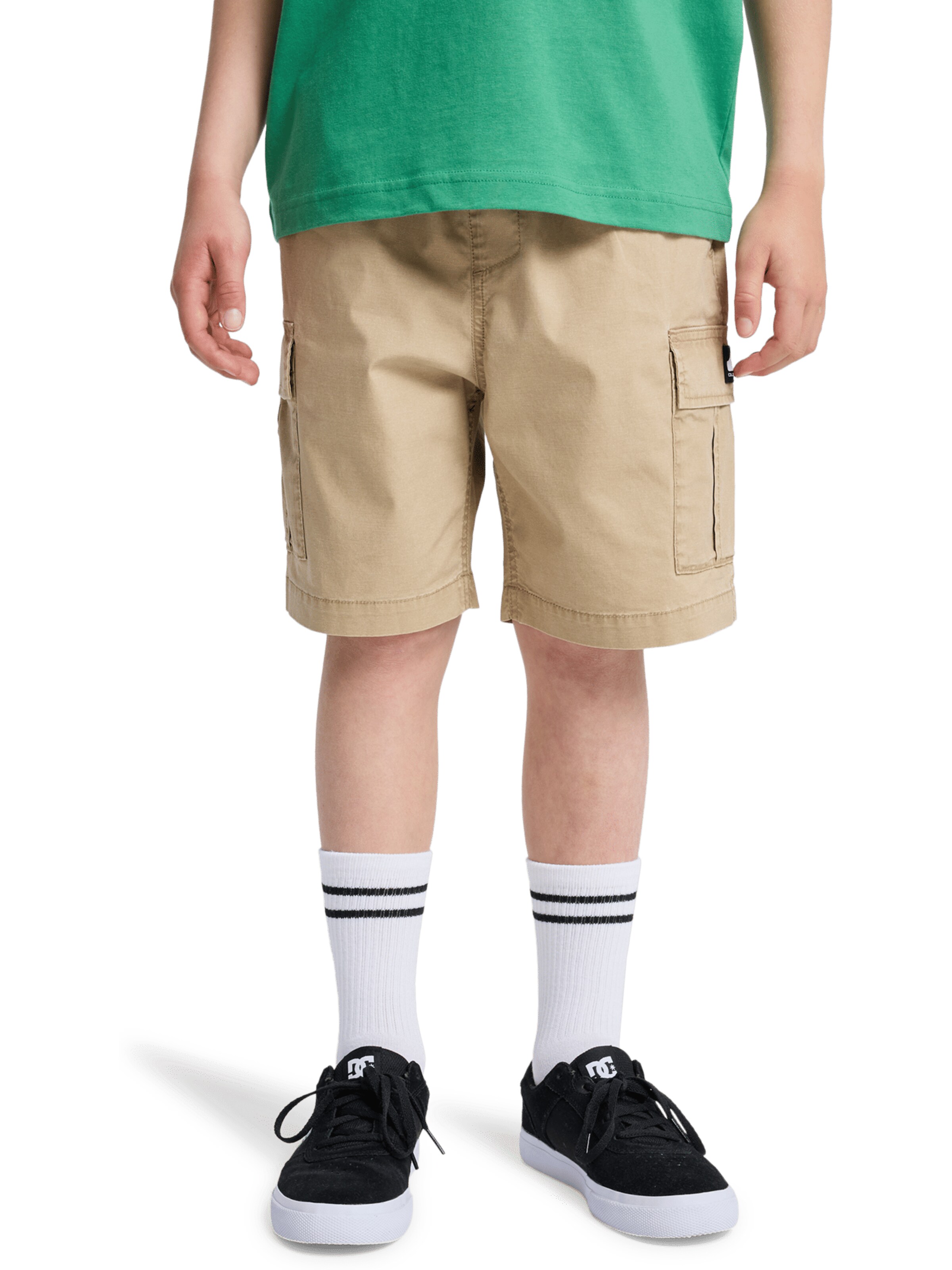 QUIKSILVER Regular Pants 'Taxer' in Beige: front