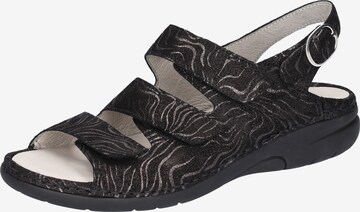 WALDLÄUFER Strap Sandals in Black: front