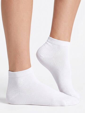 footstar Socks 'EVERYDAY!' in White