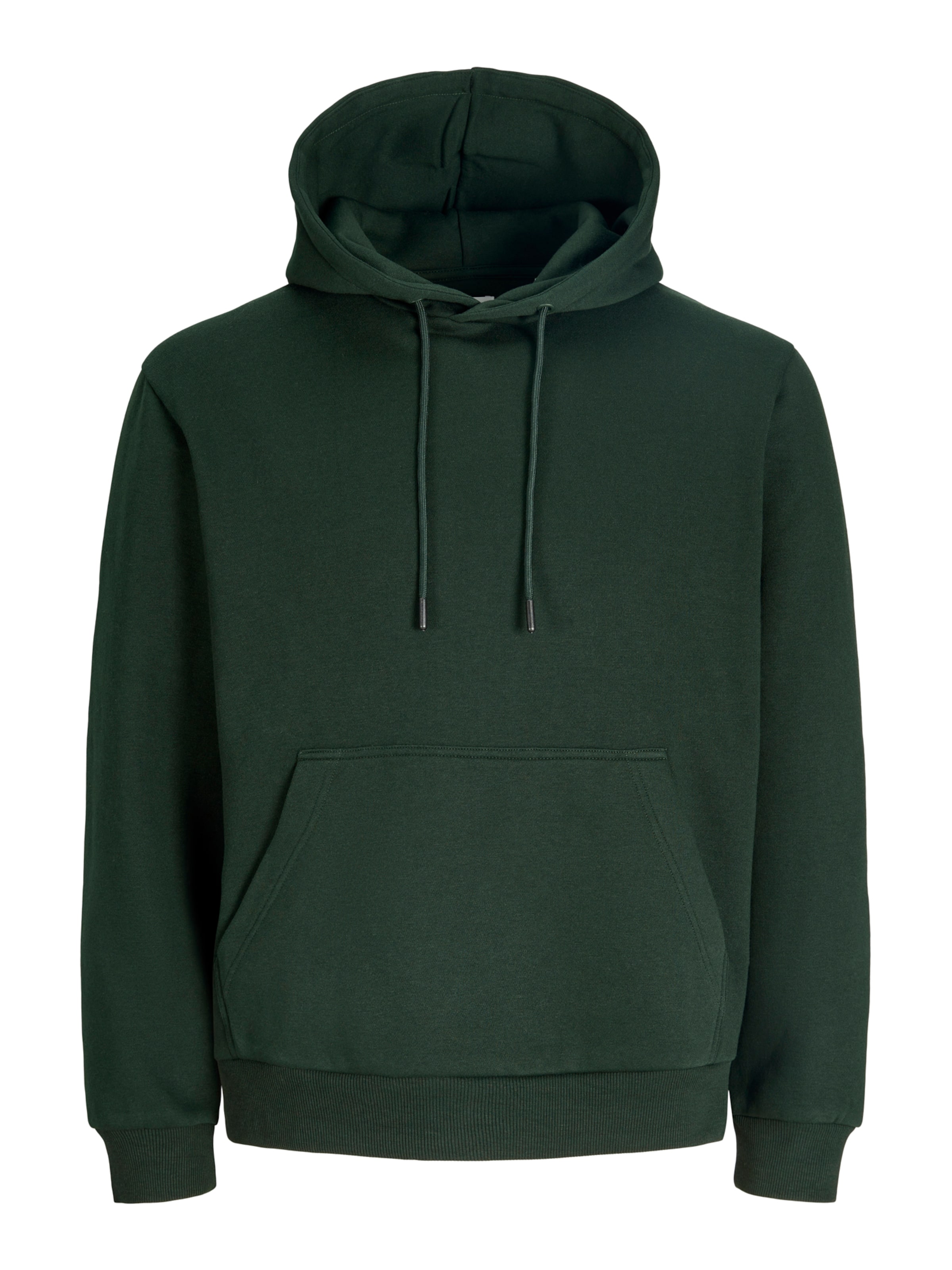 JACK & JONES Sweatshirt 'JJEBRADLEY' in Green: front
