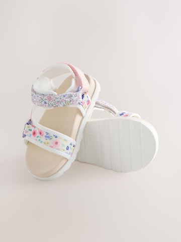 Next - Sandalias en Mezcla de colores