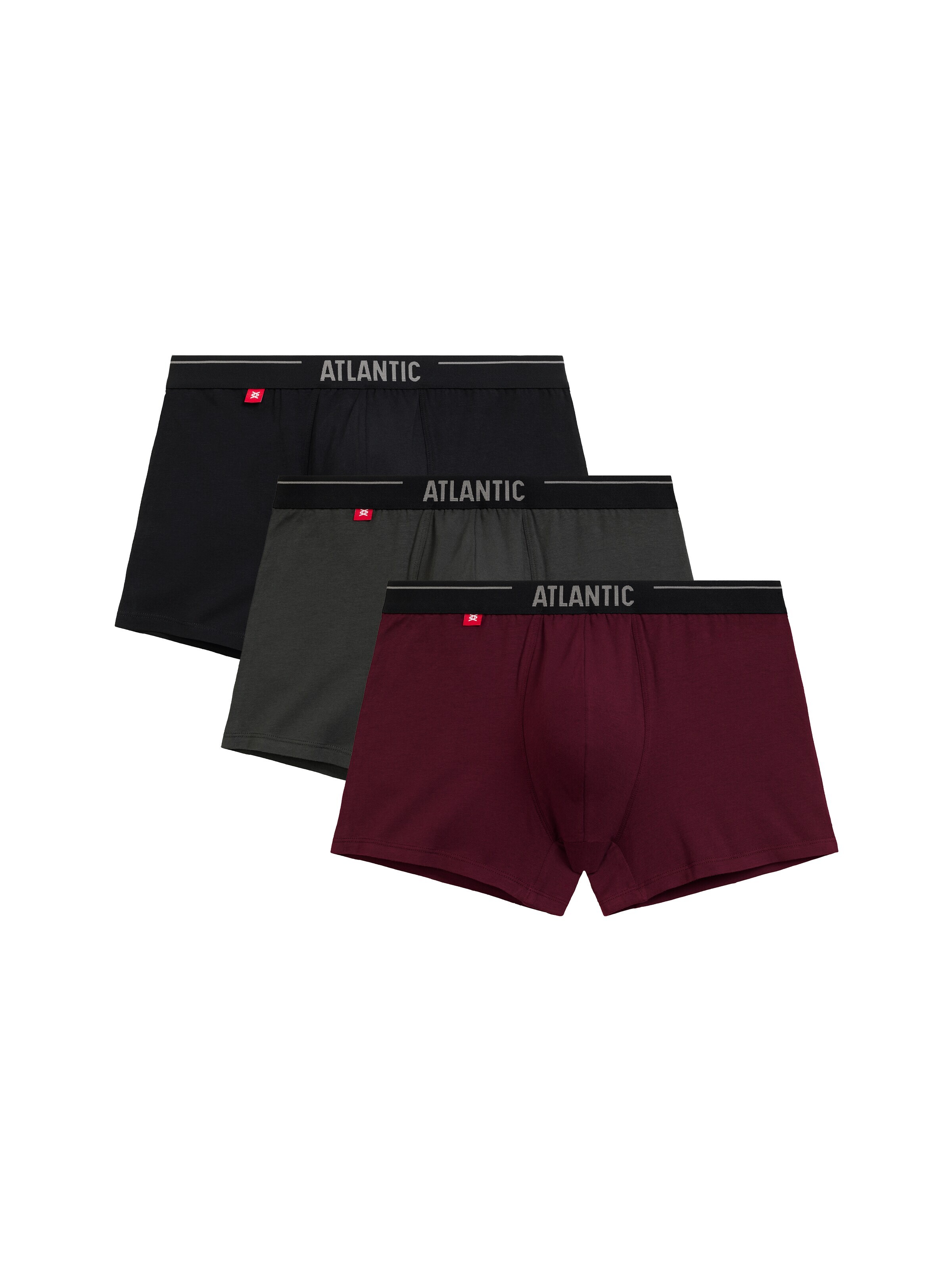 Atlantic Boxer shorts 'ATLANTIC' in Purple: front