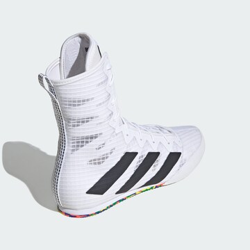 ADIDAS PERFORMANCE Athletic Shoes ' Box Hog 4' in White