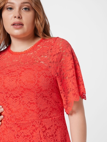 Robe Dorothy Perkins Curve en orange