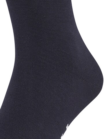FALKE Socks 'Airport' in Blue