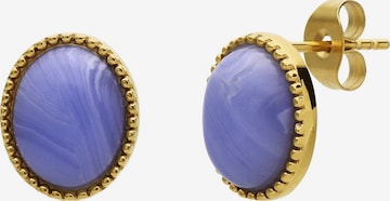 Boucles d'oreilles Lucardi en or : devant