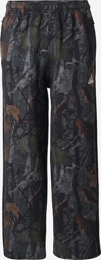 ADIDAS ORIGINALS Hlače u smeđa / siva / bazalt siva / crna, Pregled proizvoda