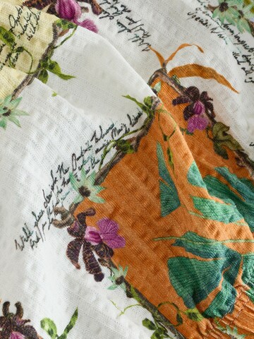 Next Bluse in Mischfarben