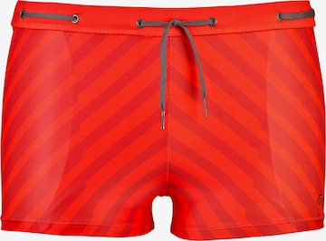 BECO the world of aquasports Swim Trunks 'BEactive' in Red: front