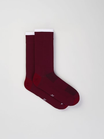 INCYLENCE Athletic Socks 'PURE' in Red