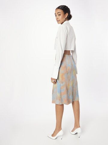 Tiger of Sweden Skirt 'CASI' in Mixed colours