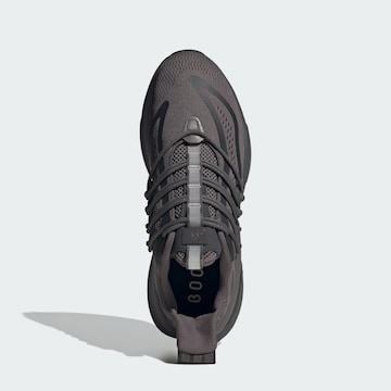 ADIDAS SPORTSWEAR Обувь для бега 'Alphaboost V1' в Серый