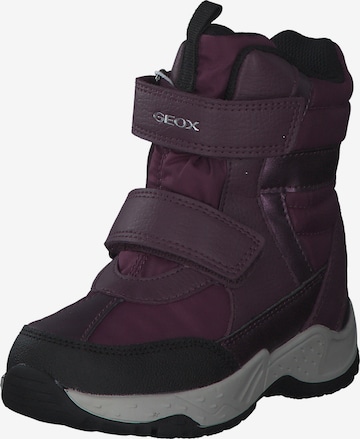 Bottes de neige GEOX en violet : devant