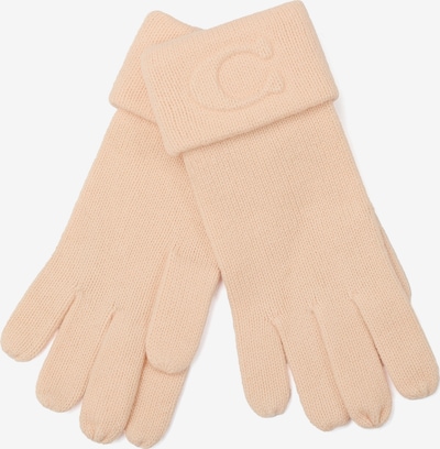 COACH Fingerhandschuhe in puder, Produktansicht